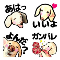 [LINE絵文字] lovelyDachshund2の画像