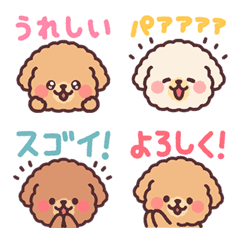 [LINE絵文字] ふわふわもこもこトイプードル 文字入り！の画像
