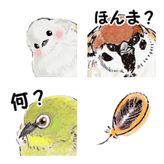 [LINE絵文字] バードサンクチュアリ2の画像