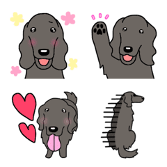 [LINE絵文字] 犬種別毎日フラットコーテッドレトリーバーの画像