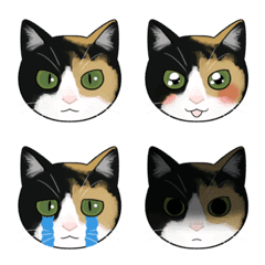 [LINE絵文字] 三毛ねこ絵文字の画像