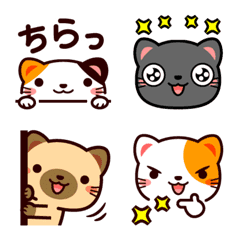 [LINE絵文字] 今日から猫友絵文字♪の画像