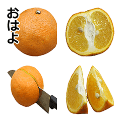 [LINE絵文字] オレンジの画像