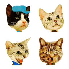 [LINE絵文字] 表情豊かなレトロ猫★毎日使えるネコ顔文字の画像