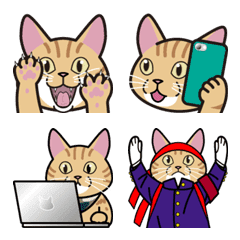 [LINE絵文字] 猫の栗ちゃん絵文字2 風の時代 猫の時代の画像