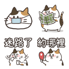 [LINE絵文字] Three cat emoticonの画像