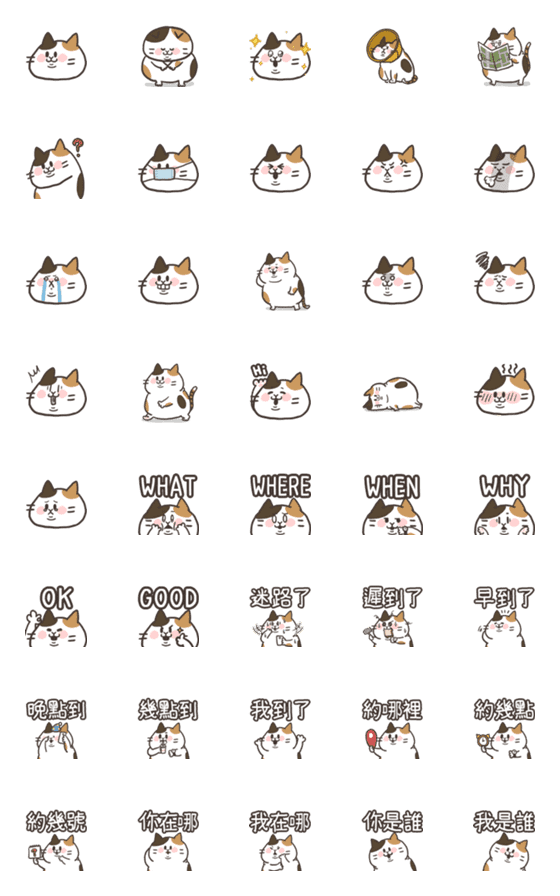 [LINE絵文字]Three cat emoticonの画像一覧