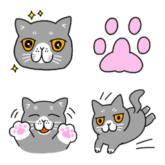 [LINE絵文字] 猫、ぶりお（ブリティッシュショートヘア）の画像