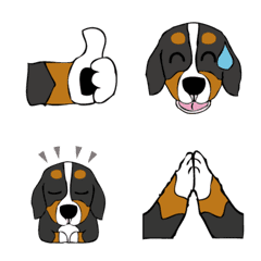 [LINE絵文字] Emoji of Bernese Mountain Dog 3の画像