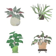 観葉植物 絵文字 3の絵文字メイン画像