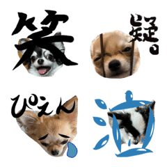 [LINE絵文字] RuiLeo emojiの画像