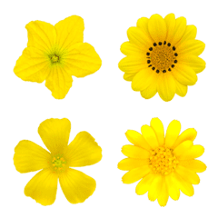 [LINE絵文字] 黄色の花の画像