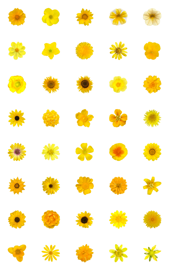 [LINE絵文字]黄色の花の画像一覧