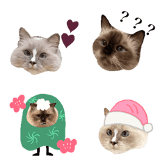 [LINE絵文字] 狛猫スタンプ（winter.ver)の画像