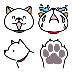 [LINE絵文字] かわいい柴犬の絵文字（白柴バージョン）の画像