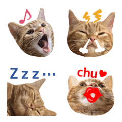 [LINE絵文字] ミミ♡猫絵文字の画像