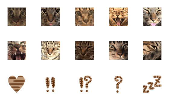 [LINE絵文字]ドアップキジトラ猫「D」絵文字の画像一覧