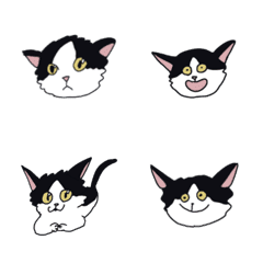 [LINE絵文字] 日本猫 ト太郎の画像