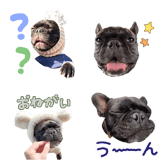 [LINE絵文字] BUNたろちゃん②の画像