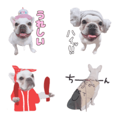 [LINE絵文字] フレブル大福絵文字の画像