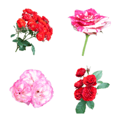 [LINE絵文字] 薔薇(バラ)の花の絵文字40個セット ver.1の画像