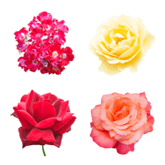 [LINE絵文字] 薔薇(バラ)の花の絵文字40個セット ver.2の画像