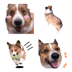 [LINE絵文字] スコッチとおともだちの画像