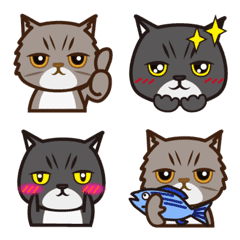 [LINE絵文字] エキゾチックキャットの絵文字の画像