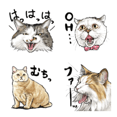 [LINE絵文字] 意外と使えるリアル猫絵文字の画像