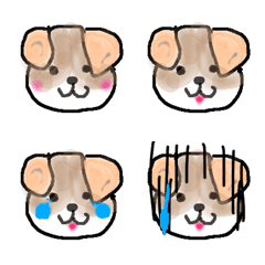 [LINE絵文字] シーズー犬ハナの画像