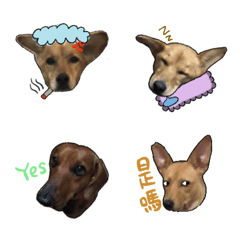 [LINE絵文字] My 3 dogの画像