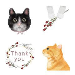 [LINE絵文字] cat cat cat！！の画像