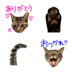 [LINE絵文字] lam2の画像