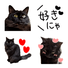 [LINE絵文字] 日常会話＆気持ちを伝える黒猫ちゃん♥️の画像