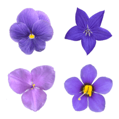 [LINE絵文字] 紫色の花の画像