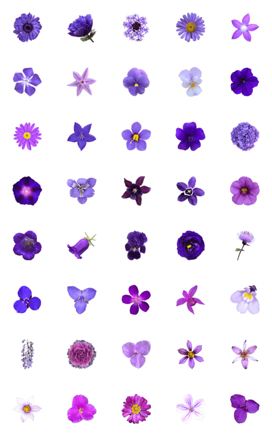 [LINE絵文字]紫色の花の画像一覧