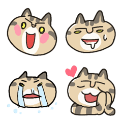 [LINE絵文字] キジトラ顔の猫文字の画像