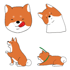 [LINE絵文字] 柴犬さんの画像