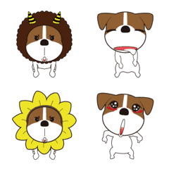 [LINE絵文字] Jack Russell Terrier dogsの画像