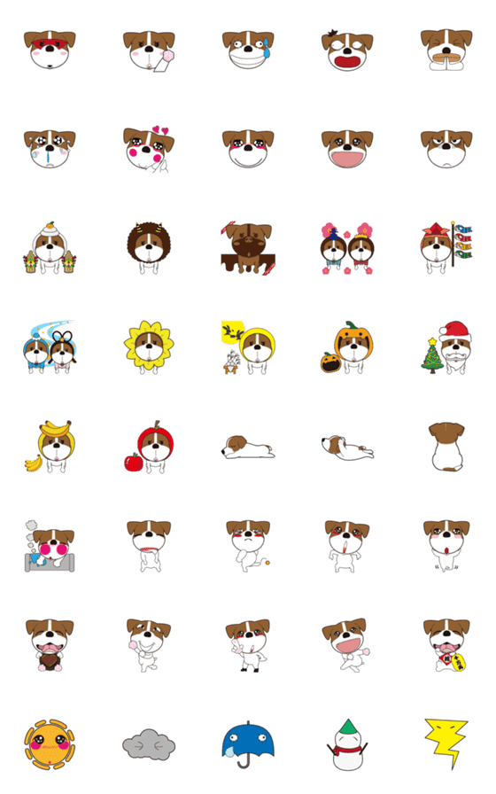 [LINE絵文字]Jack Russell Terrier dogsの画像一覧