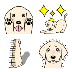 [LINE絵文字] 犬種別毎日ラブラドールレトリーバー絵文字の画像