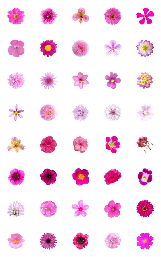 [LINE絵文字]ピンク色の花2の画像一覧