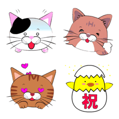 [LINE絵文字] にゃんこ三兄弟♡動く絵文字の画像