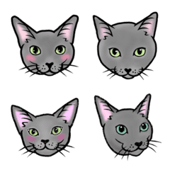 [LINE絵文字] ANZの灰色猫絵文字①の画像
