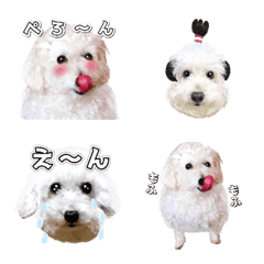 [LINE絵文字] ましゅまろ犬ぺろぺろの動く絵文字スタンプの画像