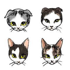 [LINE絵文字] 18猫のクリ目絵文字+おまけ12個の画像