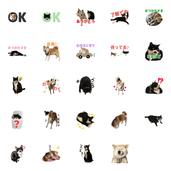 [LINE絵文字]ymd Hutteの画像一覧