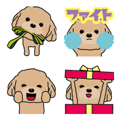 [LINE絵文字] 動く！アプリコットカラーのトイプードルの画像