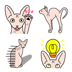 [LINE絵文字] 猫種別毎日可愛いスフィンクスの画像