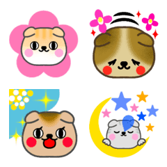 [LINE絵文字] かわいいかわいいスコティッシュフォールドの画像